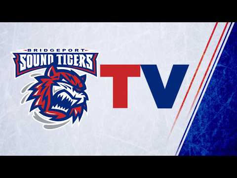 Thunderbirds vs. Sound Tigers | Nov. 3, 2018