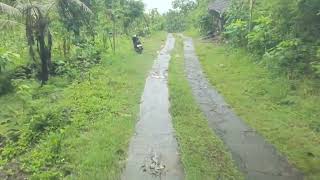 Download lagu Jalan menuju pantai pok tunggal gunungkidul  mp3