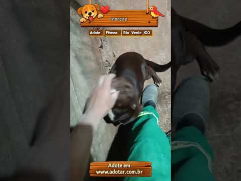 Vídeo de morena
