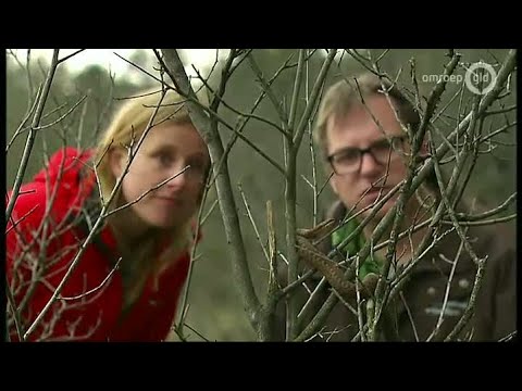 BuitenGewoon 7 mei 2013