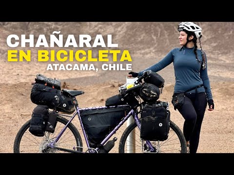 COMUNA DE CHAÑARAL EN BICI - PARQUE NACIONAL PAN DE AZUCAR | Región de Atacama, Chile