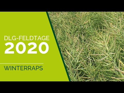 DLG-Feldtage 2020 | Winterraps