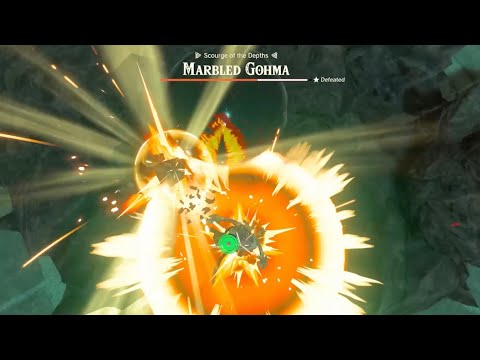 Lore Accurate Link Vs Mabled Gohma Remastered | The Demon King’s Arachnid