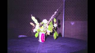 Ricky Eat Acid -  p u l l (may15)