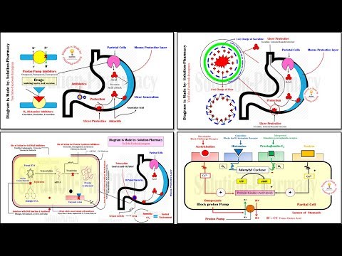 Antiulcer Drugs = Mechanism of Action for All Antiulcer Drugs | Treatment of Peptic Ulcer | Ulcer