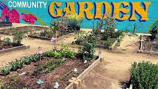 Community Garden Tour & Plant Sale! 🌺🌱