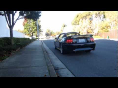 99 Mustang Cobra Borla Exhaust