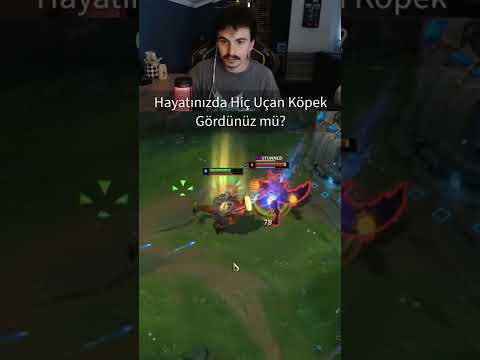 Flying Dog ✈️🐶😲 #shorts #lol #leagueoflegends