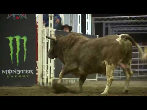 Jackson Scott vs. Tom Petty (PBR)