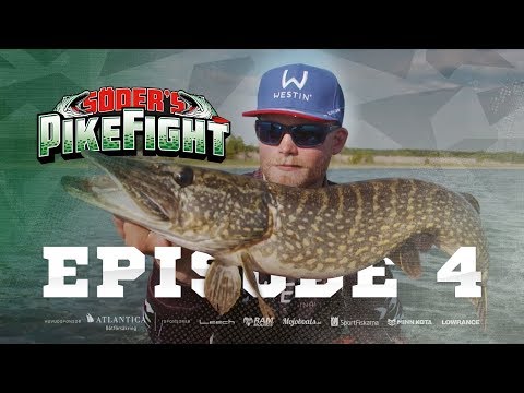 Pike Fight 2018 - Episode 4