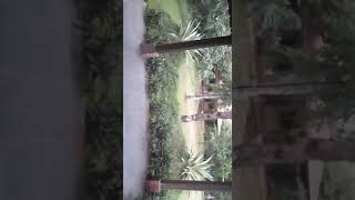 Radhe Upvan Resort