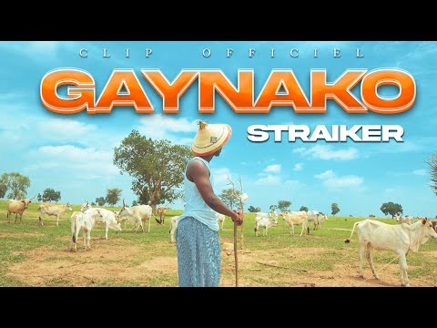 STRAIKER - GAYNAKO | RAP AFRICAIN | ( CLIP OFFICIEL)