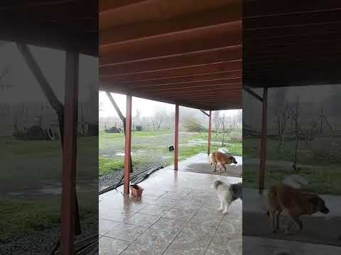 Video muestra tornado llegando a una casa
