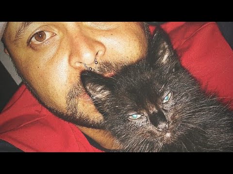 PERDI UM GRANDE AMIGO 😭😔😿💔