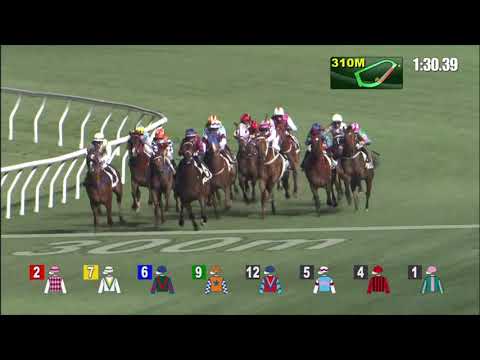 17/3/2021 (513) Bundle Of Delight - A Badel