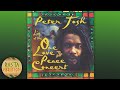 Peter Tosh ‎– Live At The One Love Peace Concert [Full Audio]