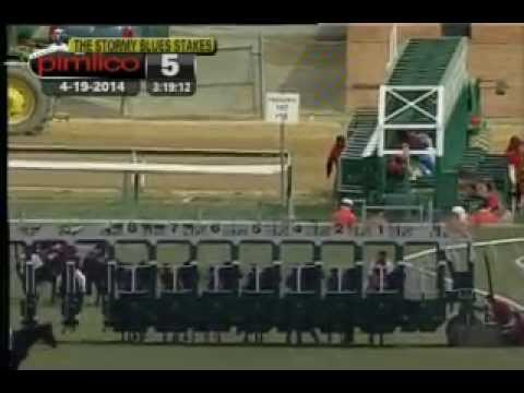 Pimlico 04/19/14 race 5 - Stormy Blues Stakes