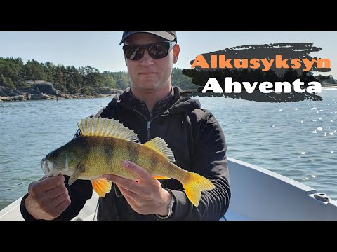 Alkusyksyn ahvenen jigausta [ Ahvenen jigikalastusta merellä ]