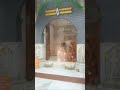Live Aarti Shree Kapileswer Mahadev Kalol 26 8 21 Shorts
