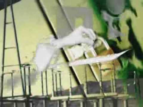 Singas Project - Colors