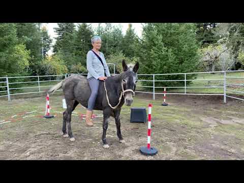 Manza rebacking progress.