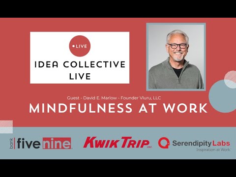 Mindfulness for Small Business Owners - Idea Collective Live