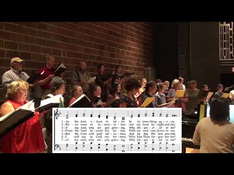As the Hart, About to Falter | Cantus Christi 2020, no. 83