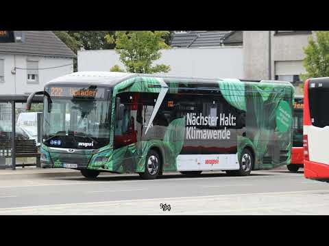 Opladen (Leverkusen) (Bus; Wupsi (not articulated)) (20220728) (Slide show)