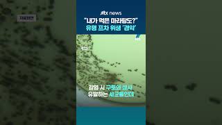 소비자원 마라탕 프랜차이즈 매장 세 곳서 식중독균 검출 #JTBC #Shorts