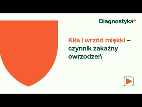 Kiła i wrzód miękki – czynnik zakaźny owrzodzeń