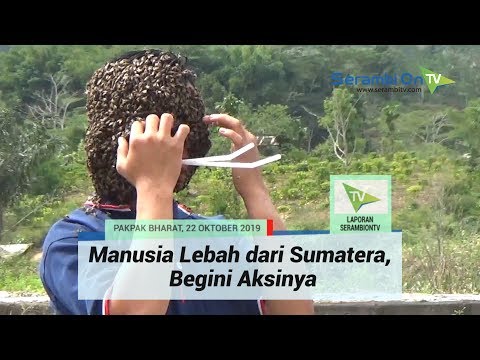 , title : 'Manusia Lebah dari Sumatera, Begini Aksinya'