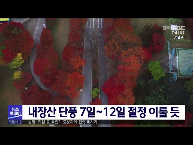 내장산 단풍 7일~12일 절정 이룰 듯