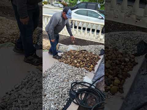 Limpieza de las piedras para reconstruir el nuevo jardín en Hialeah Garden Florida. #6