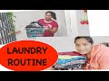 My Weekly Laundry Routine Tips To Wash And Oranise Clothes Indian Vlogger Smita In Germany