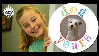 Dog Years | Life Lesson Adventures | TV Shows For Kids | DIY TV