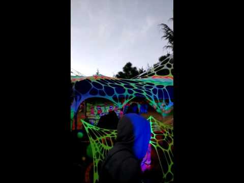 Datalordz / DMTryptamine Part 4