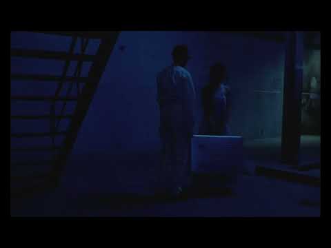 L'EQUIVOCO DELLA LUNA