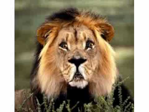 Tages Informationen zum 21.07.2011