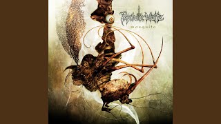 Dancing in the Ashes