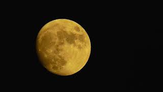 ムビる18482 20210722 006 今宵の月 moon