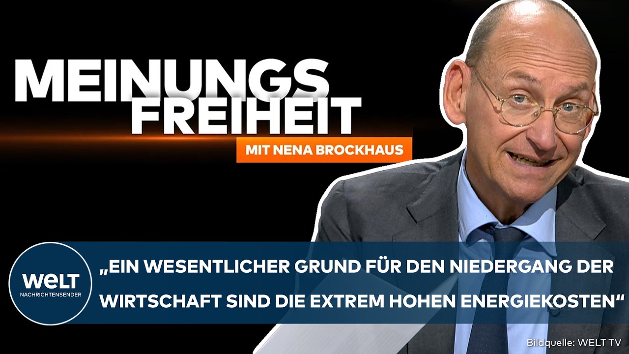MEINUNGSFREIHEIT: Atomausstieg Schuld an Energiekrise? Ökonom kritisiert "kleinteilige Maßnahmen"