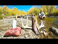 Wild Elk Heart And Trout Fresh Out Of The Mountains Catch Clean Cook
