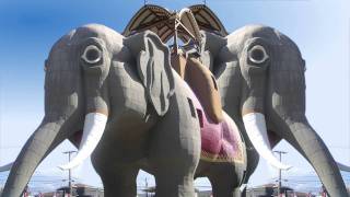 It's NIK! - Elephants Walk