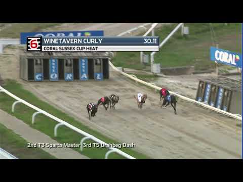 2020 CORAL SUSSEX CUP - HEAT 5 - T6 WINETAVERN CURLY