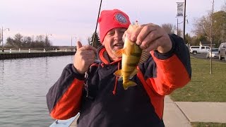 Shore Fishing  Perch and Whitefish- Larry Smith Outdoors