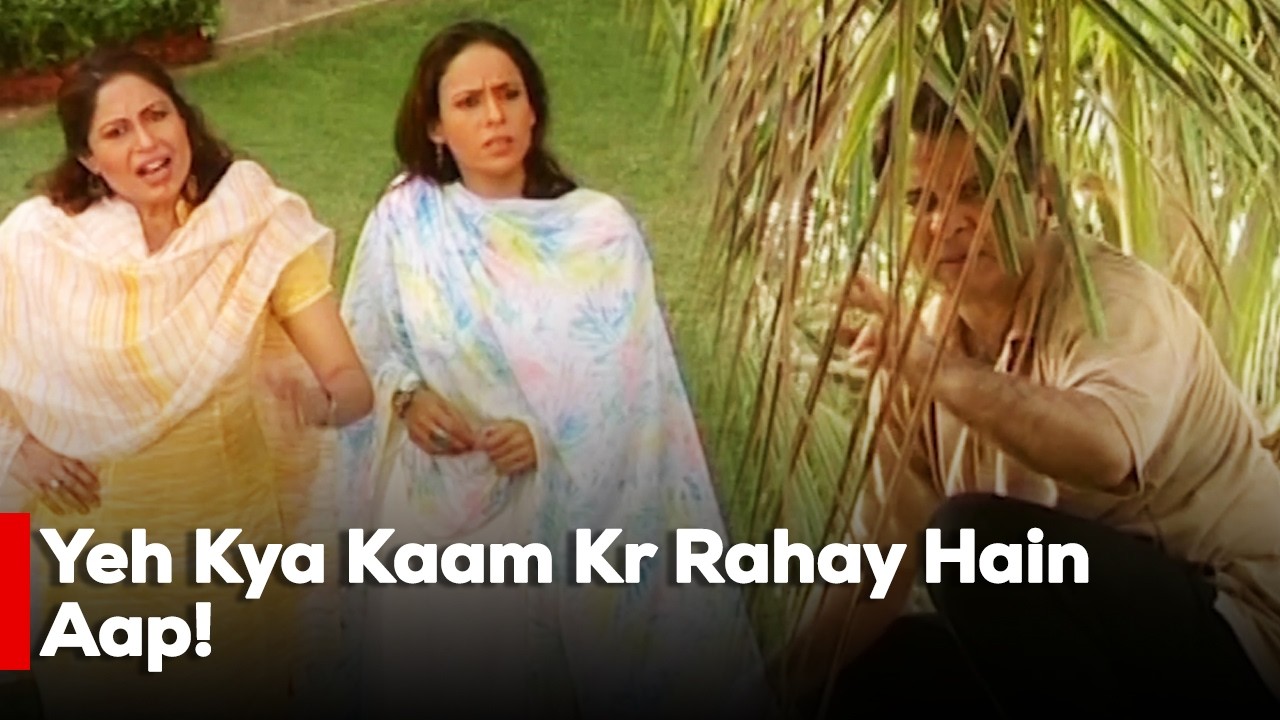 Yeh Kya Kaam Kr Rahay Hain Aap! | Adnan Siddiqui | Zainab Qayum |Ali Salman
