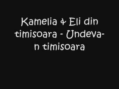 YouTube- Kamelia feat Mark Eli -  Undeva In Timisoara.mp4