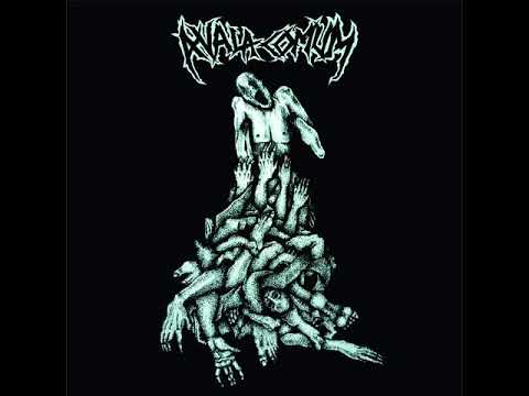 A Vala Comum - A Vala Comum EP [2018]