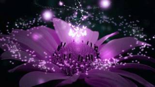 Life  -  Des&#39;ree  (TRADUÇÃO)