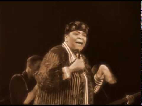 Thumbnail for BLUES ARCHIVE THE JSP YEARS 10 - BLUES LIVE AND ALIVE-THE BLUES CONCERTS TRAILER by Lonnie Shields